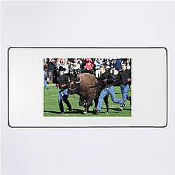 Colorado Buffaloes Fan Art Colorado Buffaloes Mouse Pads
