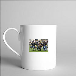 Colorado Buffaloes Limited Collection Colorado Buffaloes Mugs