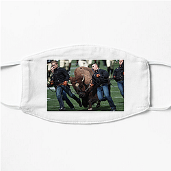 Colorado Buffaloes Merch Colorado Buffaloes Face Masks