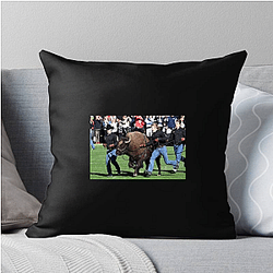 Colorado Buffaloes Fan Art Colorado Buffaloes Pillows Cover