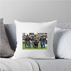 Colorado Buffaloes Limited Collection Colorado Buffaloes Pillows Cover