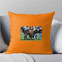 Colorado Buffaloes Fan Art Colorado Buffaloes Pillows Cover