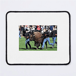 Colorado Buffaloes Fan Art Colorado Buffaloes Mouse Pads