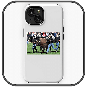 Colorado Buffaloes Cases