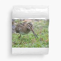 Common Snipe Duvet Cover