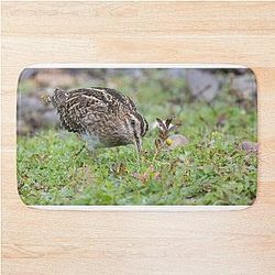 Common Snipe Bat Mat