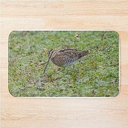 Common Snipe Bath Mat