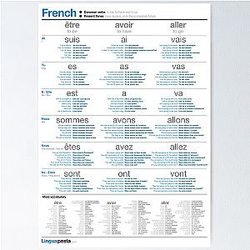Learn French Common Verbs Poster