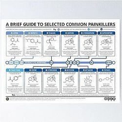 Guide to Painkillers