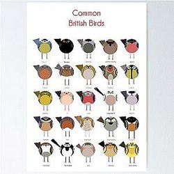 Common British Birds Poster
