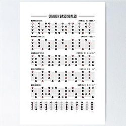 Bass Guitar Scales Poster