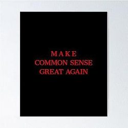 Make Sense Common Again Poster