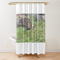Common Snipe Curtain