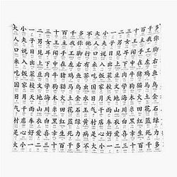 100 Most Common Chinese Characters Tapestry