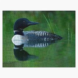 Common Loon Puzzle