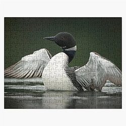 Common Loon Puzzle
