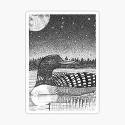 Common Loon beneath a moonlit sky Sticker