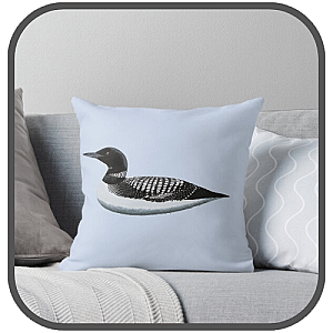 Common Pillows Cover