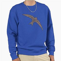 Common Swift Flying Sweatshirt