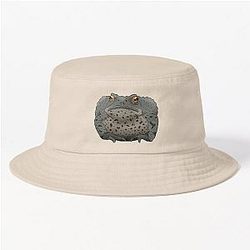 Common Toad Hat
