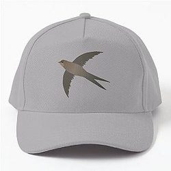 Common swift flying in the air