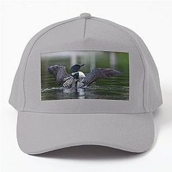 Common loon at Baseball Caps
