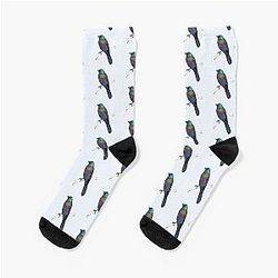 Common Grackle Sock