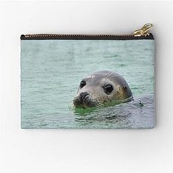 Common Zipper Pouch