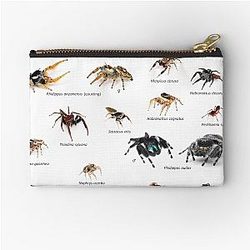 Common Jumping Spiders of Texas Zipper Pouch