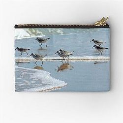 Common Sandpiper Pouch