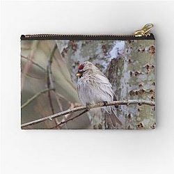 The Blond. Common Redpoll Zipper Pouch