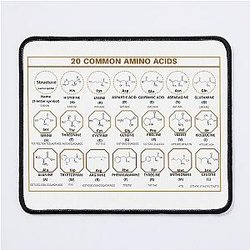 20 Common amino acids with name structure 3-letter symbol 1-letter symbol and its codon Mouse Pad