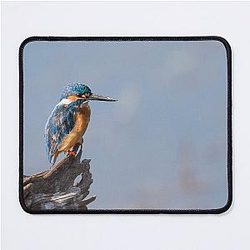Common kingfisher - Basking in the Sun Mouse Pad