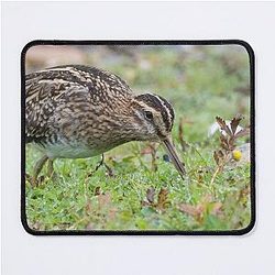 Common Snipe Mousepad