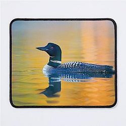 Rainbow Common Loon Mouse Pad