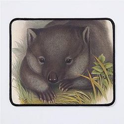 Phascolomy's Wombat by Henry Richter Mouse Pad