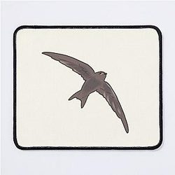 Common Bird flying Mouse Pad