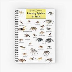 Common Jumping Spiders of Texas Poster Spiral Notebook