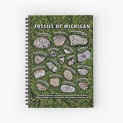 Common Fossils of Michigan Identification Guide Notebook