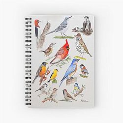 USA Common Birds Notebook