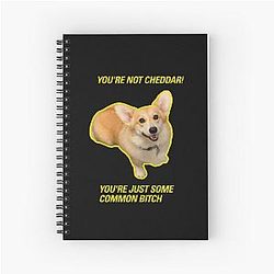 You're Not Cheddar, Brooklyn 99 Notebook
