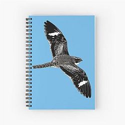 Common Nighthawk Color Print Notebook