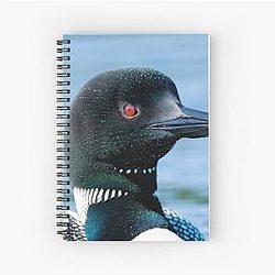 Common Loon Notebook