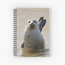 Common Seal posing in spiral notebook