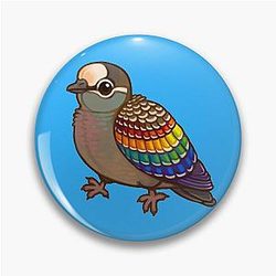 Pride Birds: Common Bronzewing Pigeon