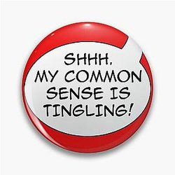 Common sense Pin