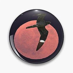 Common Nighthawk Pin