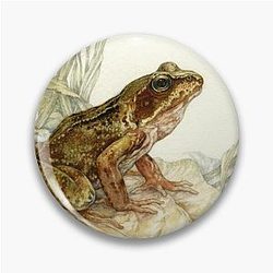 European Frog Pin