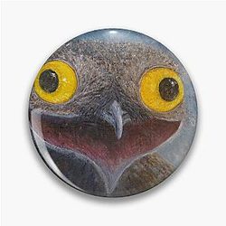 Common Potoo (Nyctibius griseus) Pin