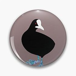 Common Coot The Abstract Bird Pin